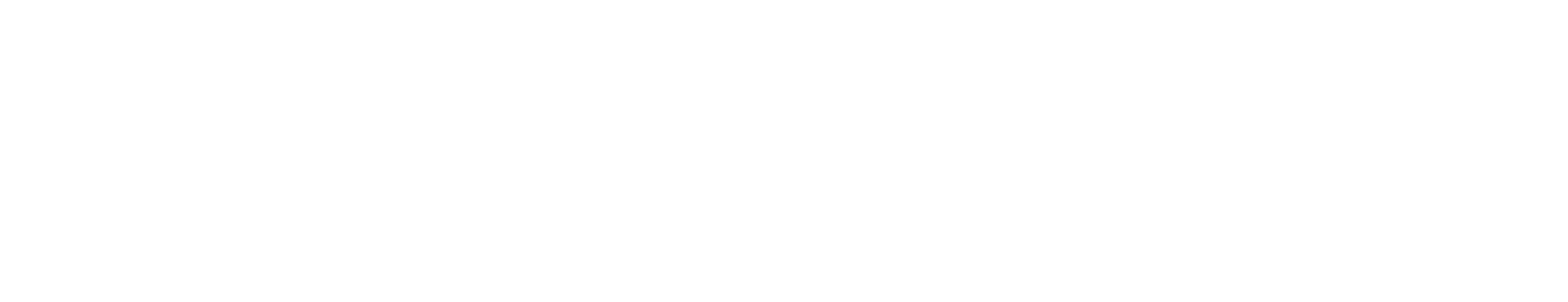Compudopt